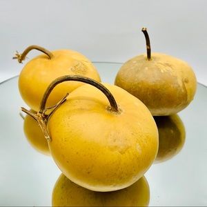 ARTS & CRAFTS Project Ready• 3 Clean Dried Natural Gourds Box Style